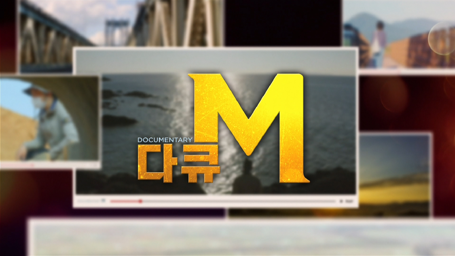 다큐M