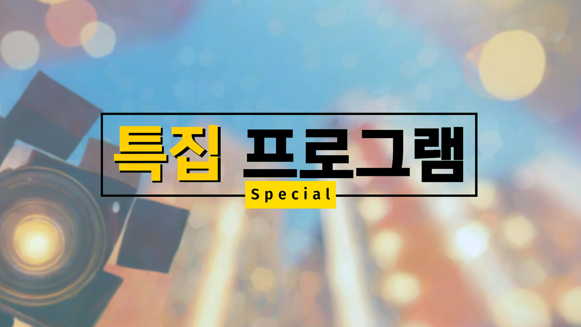 특집 프로그램